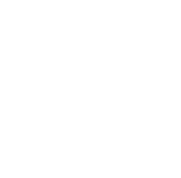 ALLIN-logo_academy
